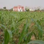 Namastay Varanasi